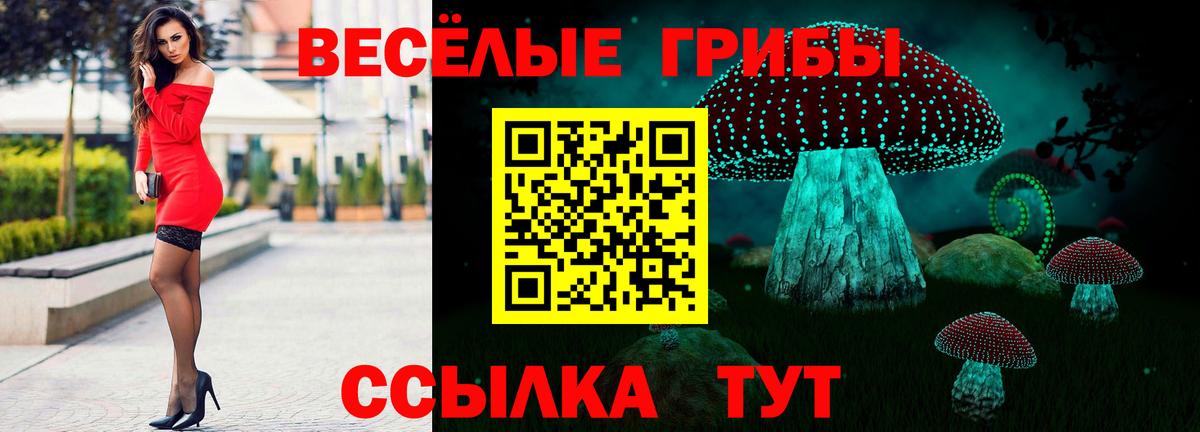 Похвистнево  Галлюциногенные грибы MAGIC MUSHROOMS  Вход с VPN 